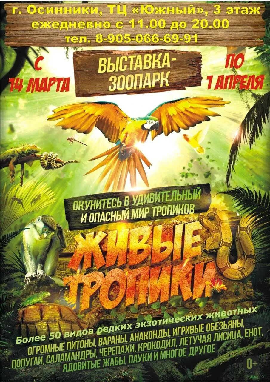 Выставка "живые тропики" в москве. Живые тропики выставка-зоопарк чебоксары. Тамбов выставка экзотических животных. Живые тропики. Каскад живые тропики.