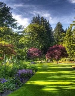 Garden телефон