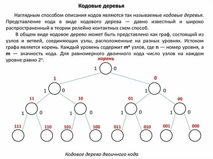 Бинарный корень