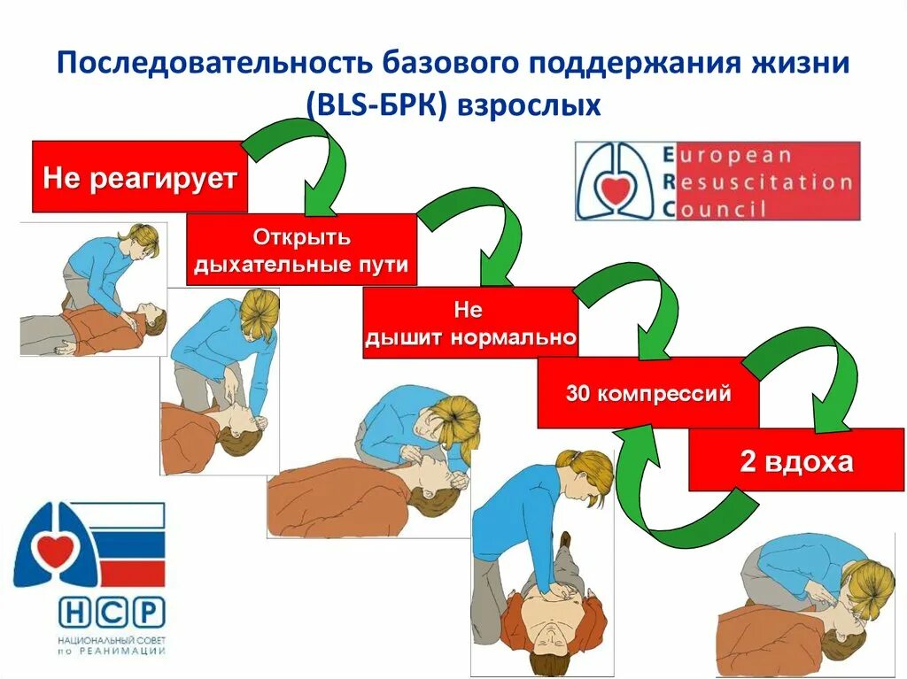 Сердечно-легочная реанимация алгоритм. BLS сердечно-легочная реанимация. СЛР алгоритм. Условие необходимое для поддержания жизни