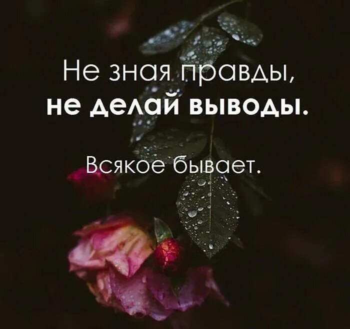 Умные статусы в ватсап. Красивые цитаты. афоризмы про жизнь. красивые фразы. статусы со смыслом.