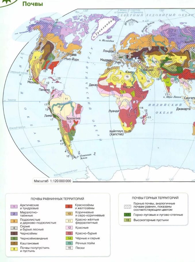 Почвы России карта 8 класс география атлас.