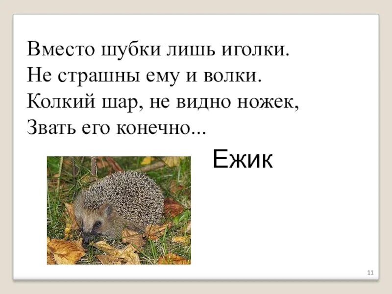 Конечно, это Ёжик. Текст Ёжик 2 класс. Вместо шубки лишь иголки не. Еж проснулся текст. Основная мысль текста ежик