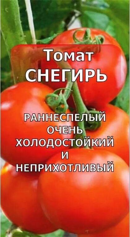 Купить семена Томат Снегопад F1 (б) 15шт с доставкой курьером и почтой в интерне