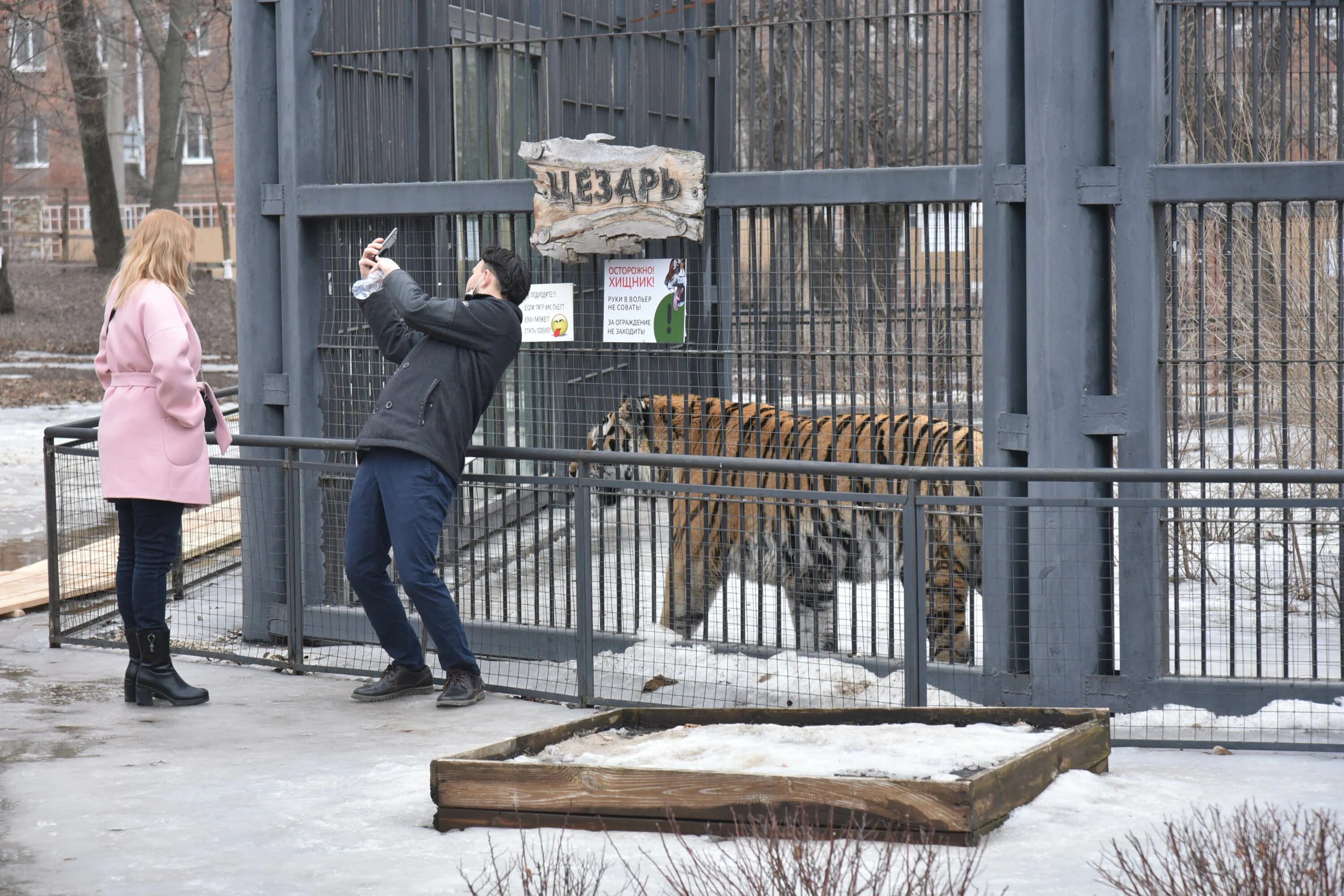 Воронежский зоопарк Воронеж. Парк Авиастроителей Воронеж зоопарк. Животные Воронежского зоопарка. Воронежский зоопарк контактный зал.