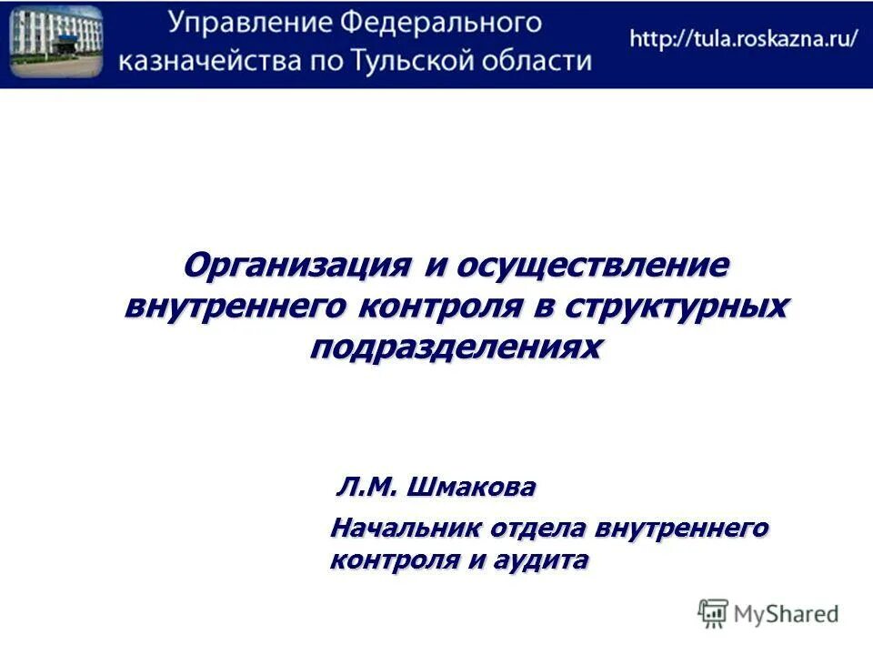 Организация и осуществление внутреннего контроля