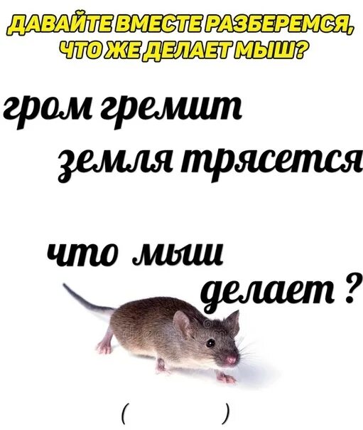 Крыса трясется. Мышь крадется. гром гремит земля трясется. мышь крадется мем. крыса крадется.