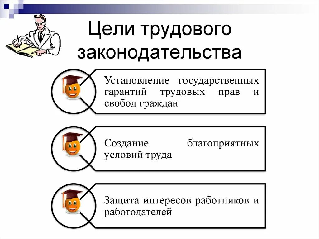 Цели трудового законодательства. Цель трудового договора. Установление государственных гарантий.