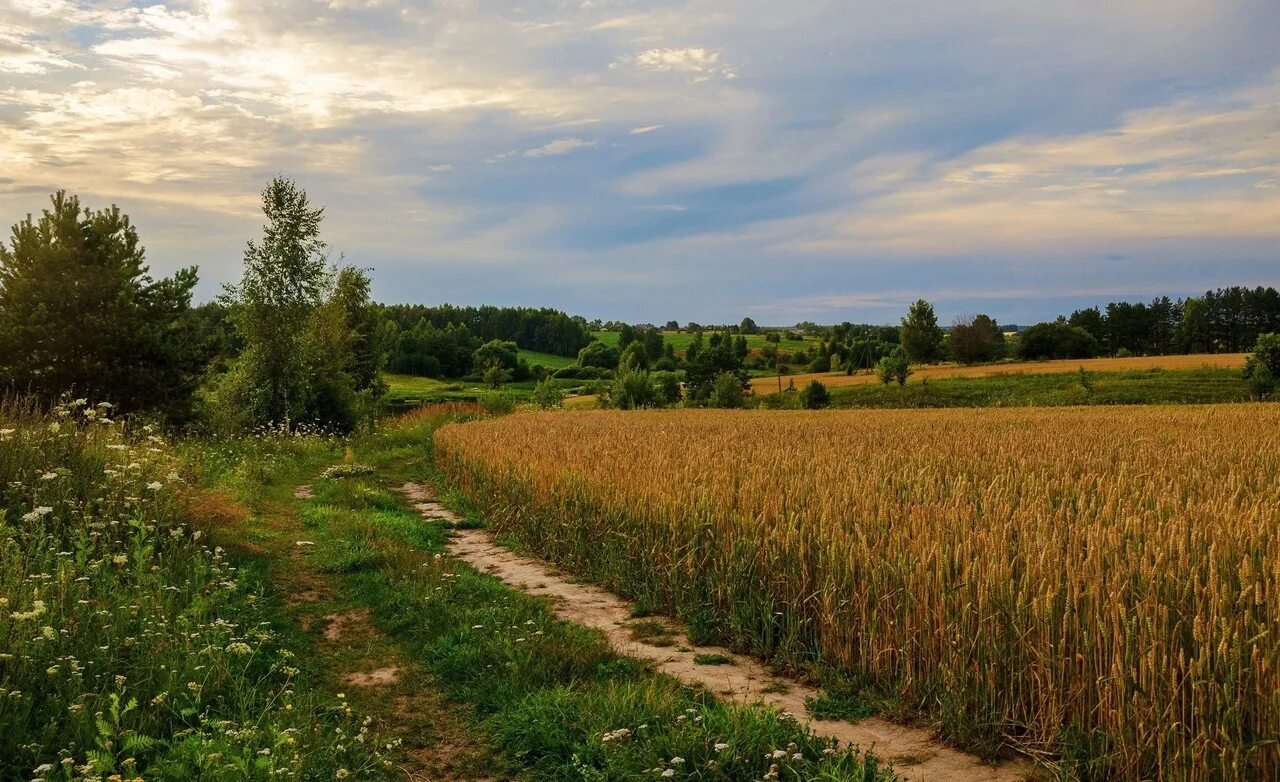 Село просторе. Деревенские просторы Брянск. Родные просторы Ступино. Родные просторы Нововоронеж. Тамбовский край просторы.