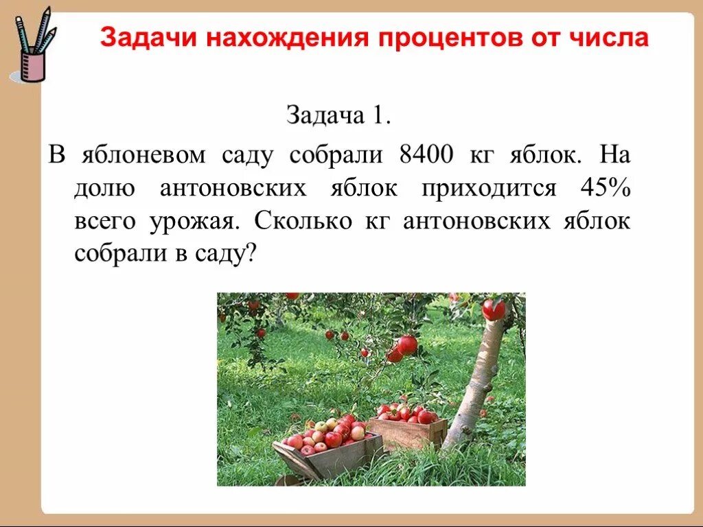 Задачи на урожайность. Решение задач на урожайность. Задачи об урожае. Задачи на урожайность 5 класс.