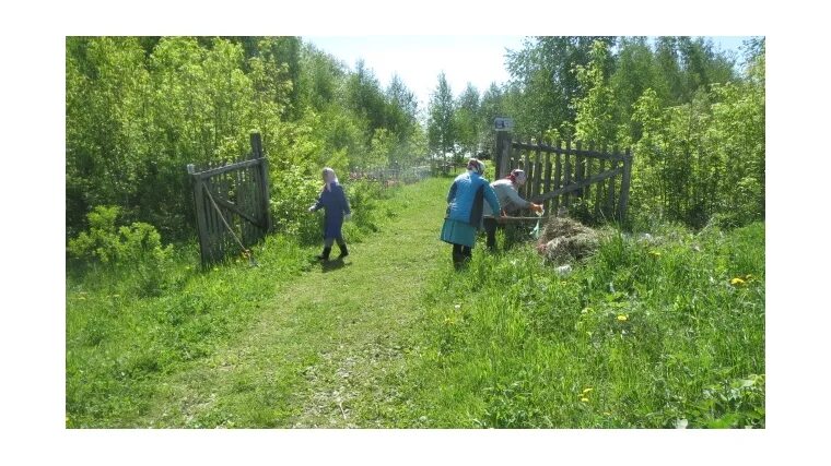 Вольная борьба чувашия. Деревня караклы. Погода в караклы чувашской республики. День деревни в сельском поселении караклы. Канашское городское кладбище картинки.