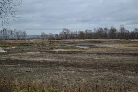 Село житово рязанская область