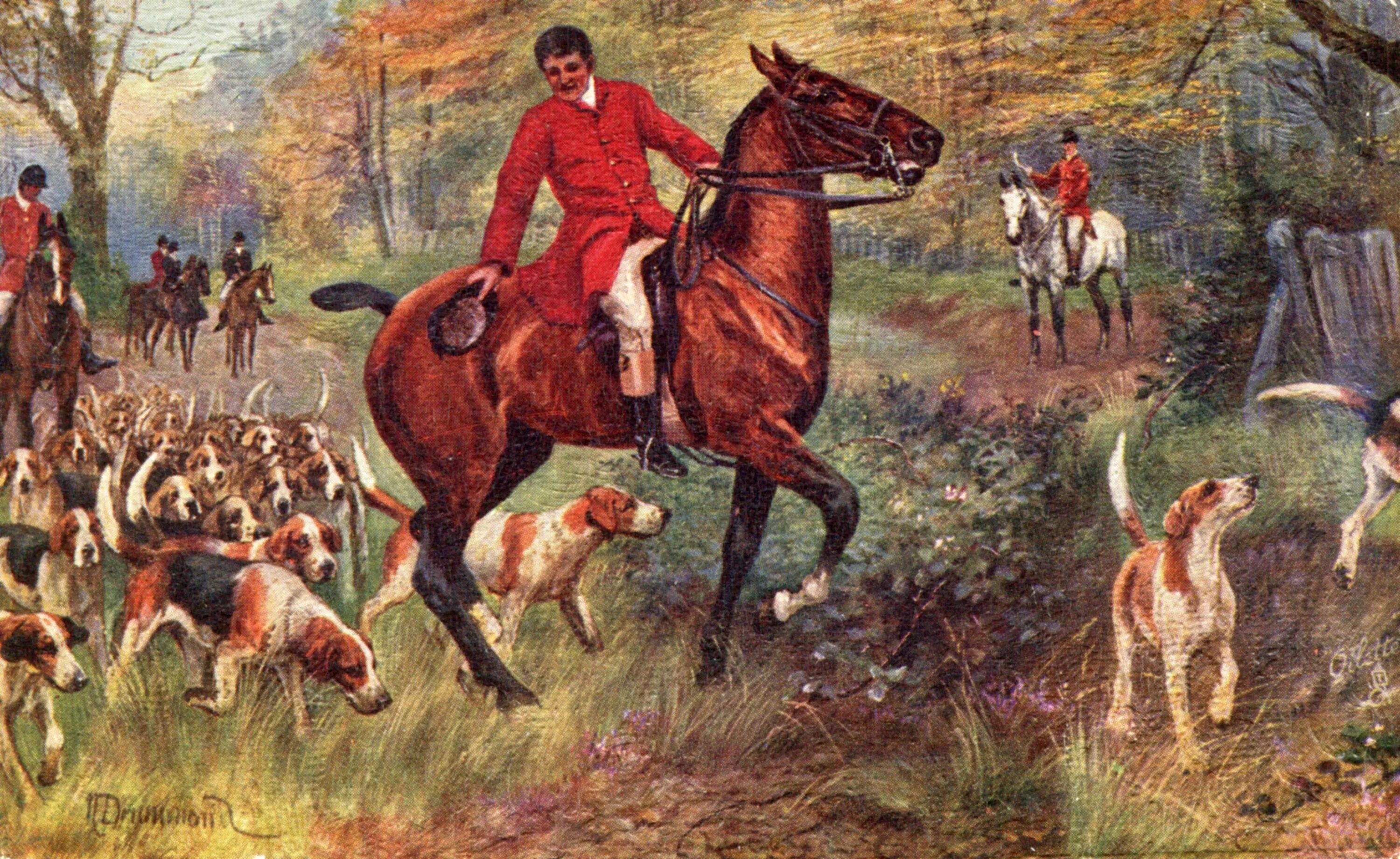 Охота развлечения. Кившенко псовая охота. Царская псовая охота. Псовая охота Фет. Охота на Лис Англия 19 век.