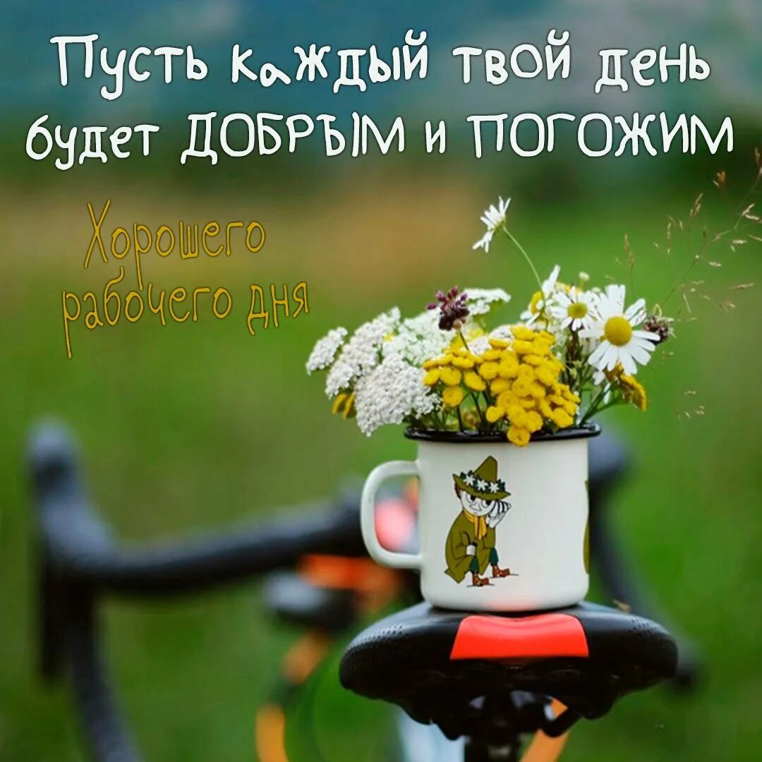 Лучше как нибудь в солнечный погожий день