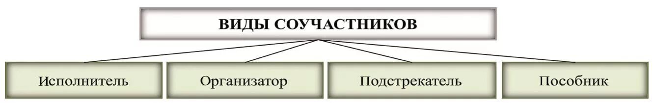 Роли соучастников. Виды соучастников. Виды соучастников схема.