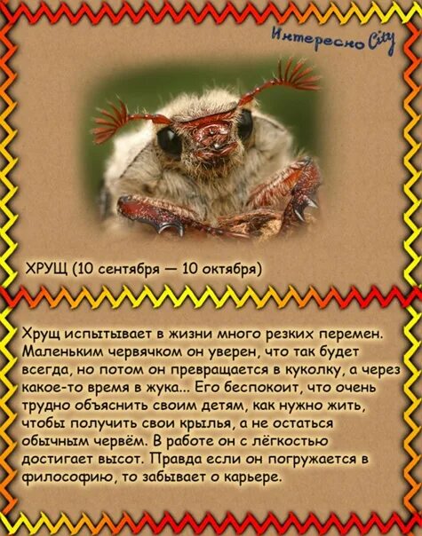 Славянский календарь зодиаков. Славянский гороскоп. Славянский гороскоп года. Гороскоп животных. Славянский гороскоп животных.