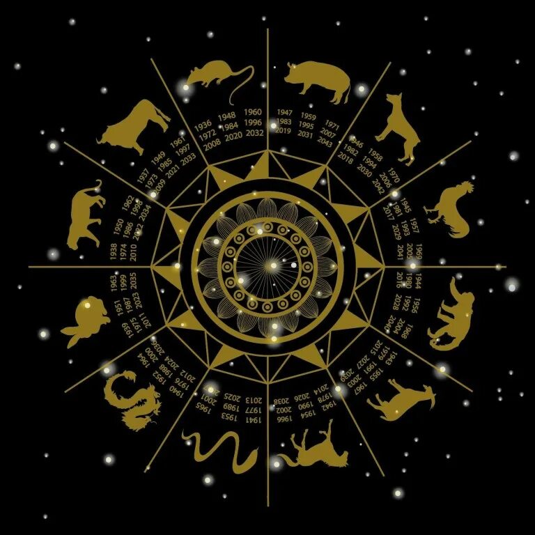 Китайский Зодиакальный круг. Восточная астрология. Китайская астрология. Восточный Зодиак. Гороскоп земляные