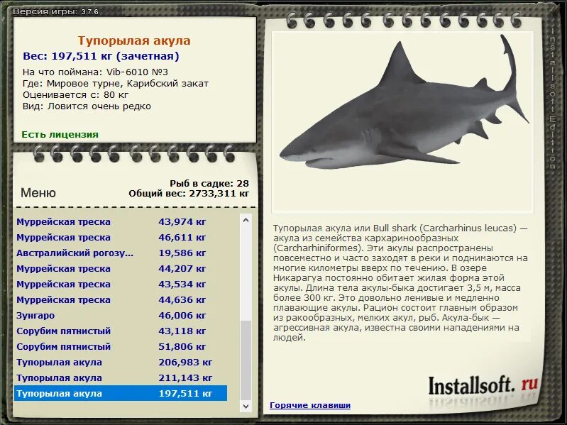 сколько весит большая акула