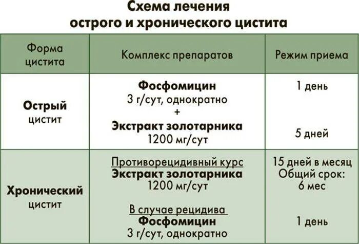 Сколько длится протокол. Схема лечения цистита у женщин медикаментозные препараты. Схема лечения хронического цистита. Хронический цистит лечение у женщин препараты схема. Схема лечения цистита у мужчин лекарственными препаратами.