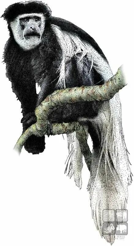 Мартышковые обезьяны. Мартышка с бананом. Заварник на подставке в виде оленя с магнитом. Cool monkey. Фигурки для чая обезьяна.