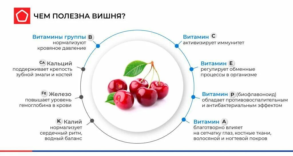 Польза черешни. Чем полезна вишня. Полезные витамины в вишне. Вишня польза и вред для организма человека. Чем полезна вишня для организма.