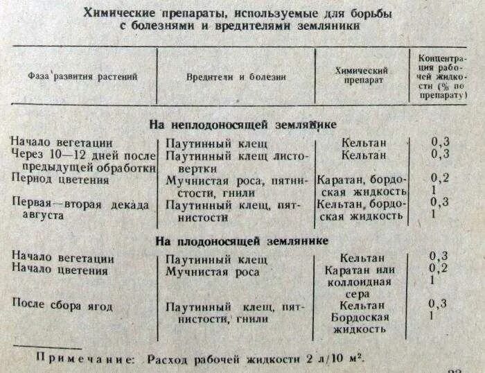 Чем обработать клубнику после весны. Схема обработки клубники проф от вредителей и болезней. Обработка земляники от болезней и вредителей. Таблица обработки клубники от болезней и вредителей. Таблица обработки земляники от болезней и вредителей.