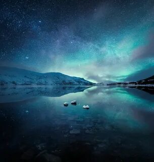 Polar night