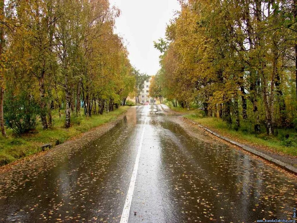Кировская аллея 6/40 кандалакша. Кировская аллея кандалакша. Кировская аллея. Уверова 9 кандалакша. Аллея на кирова томск.