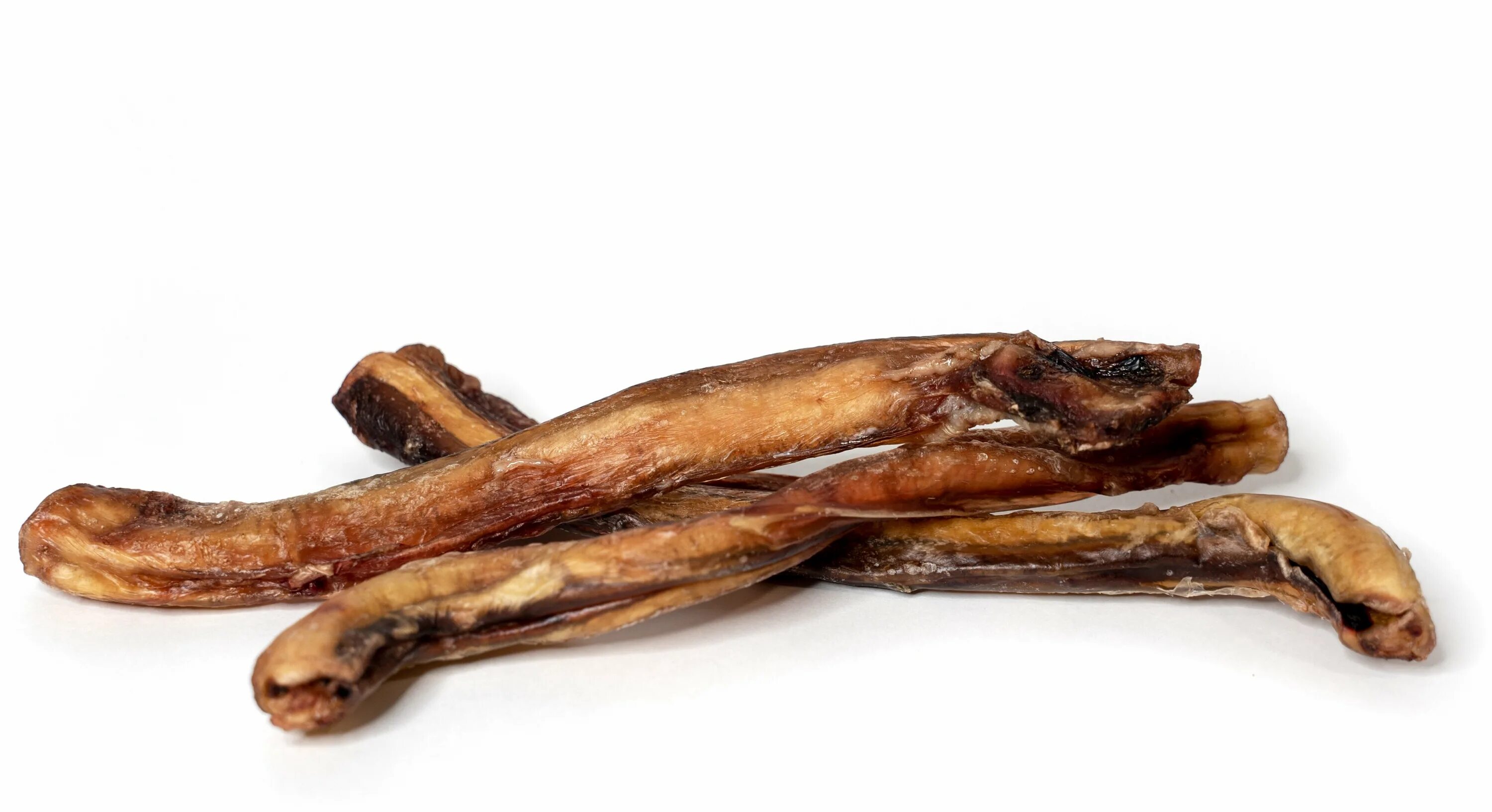 Сушеный бычий корень для собак. Что такое бычий корень для собак. Лакомство "корень бычий" xl. Корень бычий 30см 1шт. Что такое бычий корень для собак.