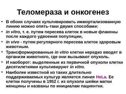 Онкогенез