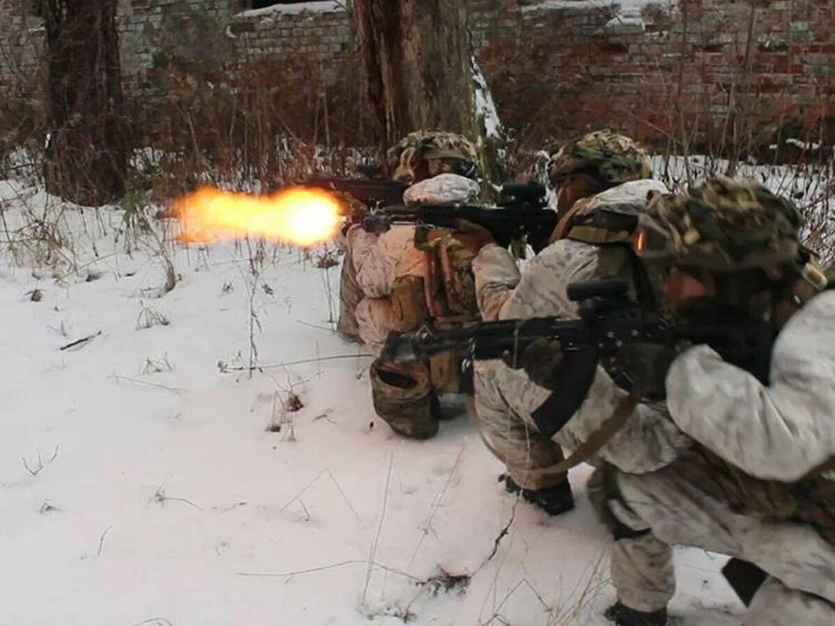 Группа ДРГ В Брянске. ДРГ 2. Дрг нападение