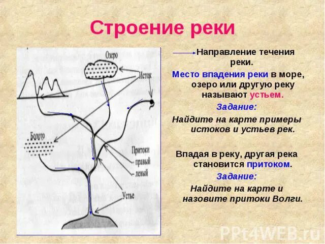 Исток направления течения устья реки. Направление течения рек. строение реки. направление течения рек на карте. характеристики речной системы.