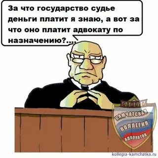 Оплата адвоката по назначению в 2024