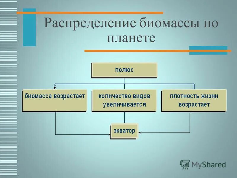 В биосфере биомасса животных во много. Распределение биомассы на земле. Распределение биомассы в биосфере. Особенности распределения биомассы в биосфере земли.