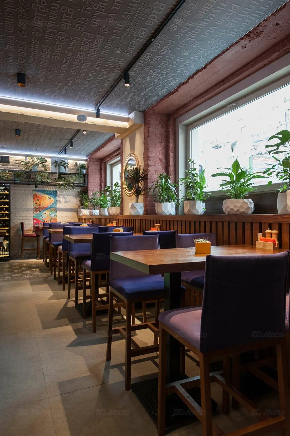 Кафе немо новосибирск. Nemo bar. Ресторан немо спб. Ресторан ceo. Nemo bar.