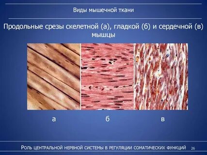 Гладкая ткань название