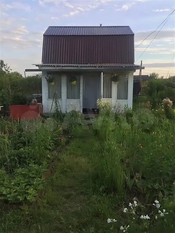 Садоводческое некоммерческое товарищество Пищевик. Дача в СНТ Пищевик. СНТ Пищевик Новосибирск. СНТ Пищевик Иваново. Снт пищевик купить