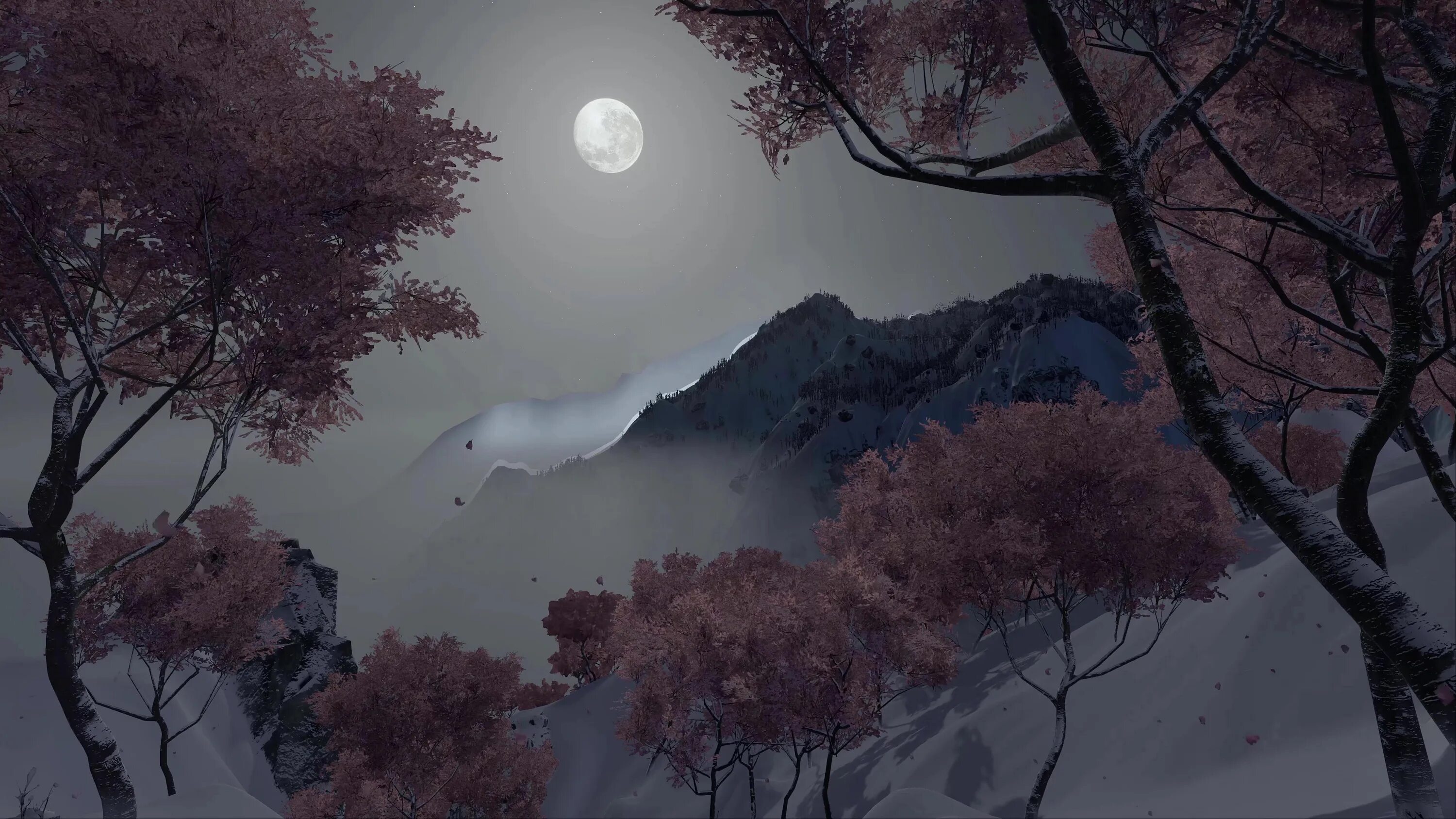 Blossom in my moonlight