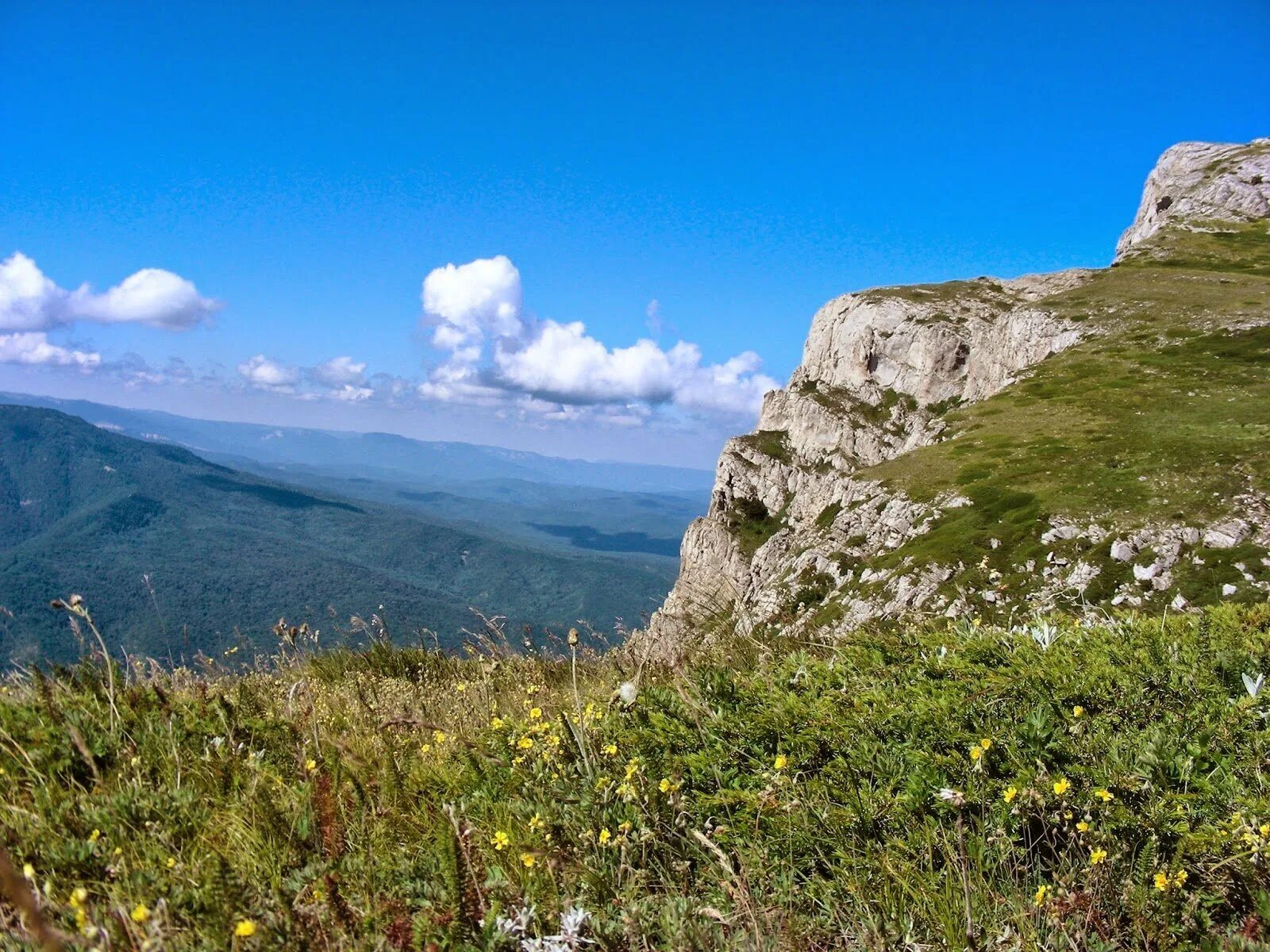 Плато чатыр-даг крым. Горный массив чатыр-даг. Чатыр даг яйла. Гора чатыр даг симферополь. Чатыр даг гора в крыму.
