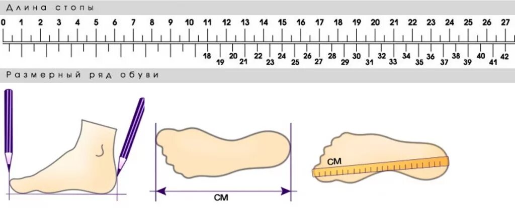 Как померить размер обуви. Измерение размера обуви. Измерение размера ноги. Измерить размер стопы в см. Измерение длины стопы.