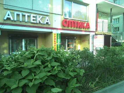 Спб ул партизанская 8