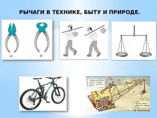 Простые механизмы физика 7 класс рычаг. Рычаги в быту. Простые механизмы в технике. Простые механизмы в быту