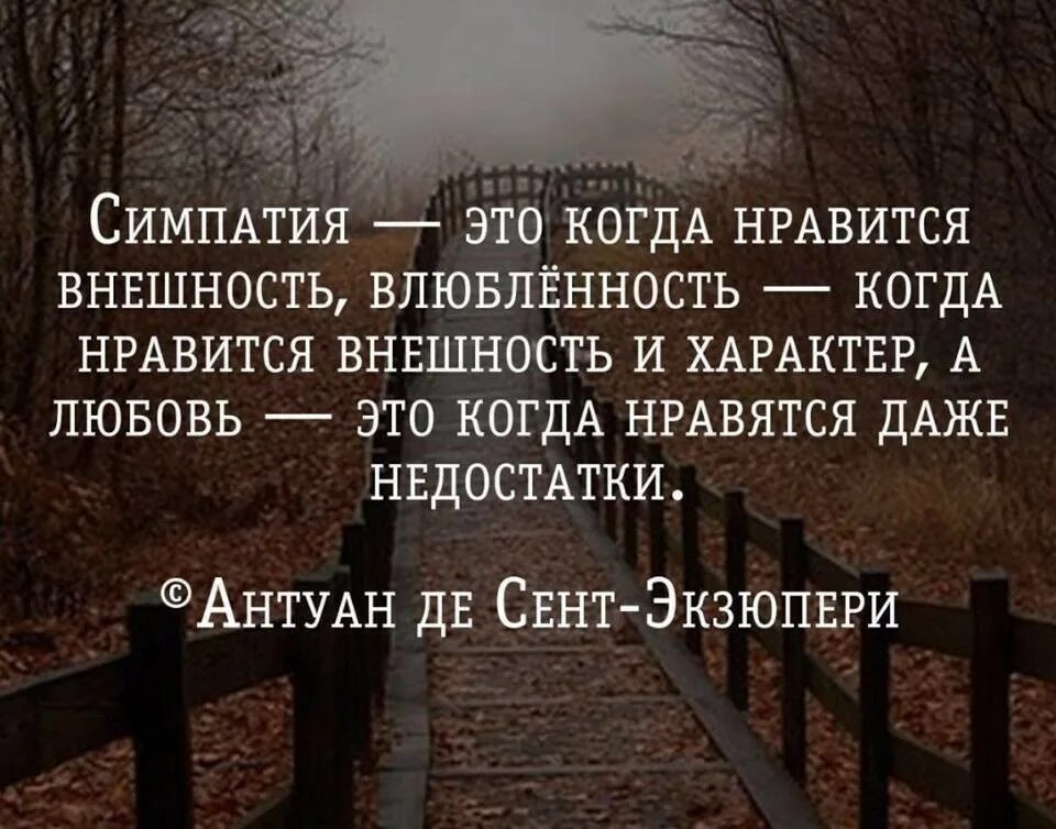 Слова заставляющие думать. Высказывания о любви. Цитаты про любовь. Умные цитаты про любовь. Мудрые высказывания о любви.