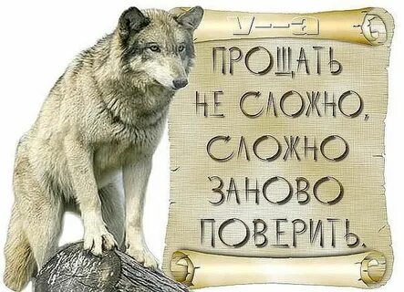 Прости не доверял