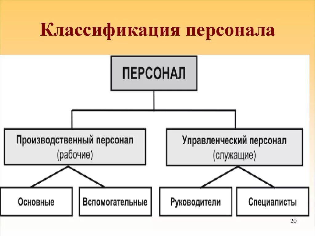 Основной персонал организации это