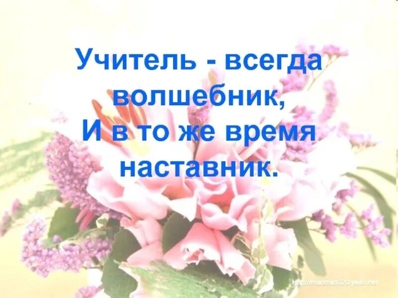 Поздравляем наставника. Спасибо учителю. Спасибо вам учителя. Спасибо вам учителя для презентации. Поздравление с днем педагога и наставника.