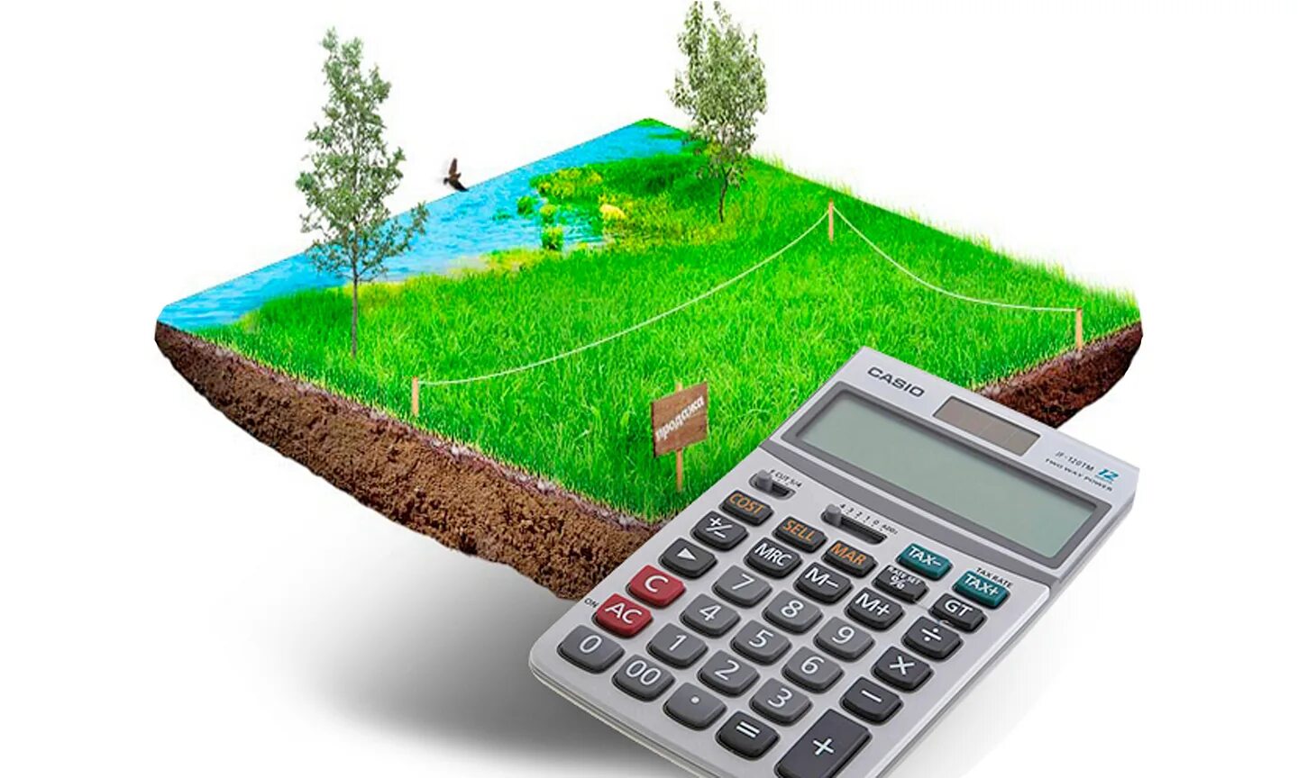 Кадастровая оценка земельного участка. Природные кадастры. Оценка земли. Землеустройство и землепользование. Кадастры земельных ресурсов.