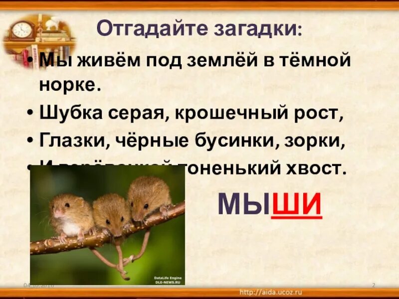 Я живу в темной норке 2 класс. Живу под землей в темной норке. Загадка я живу под землей в темной норке шубка серая крошечный рост. Я живу под землей в норке. Я живу под землей в темной норке шубка серая крошечный рост.