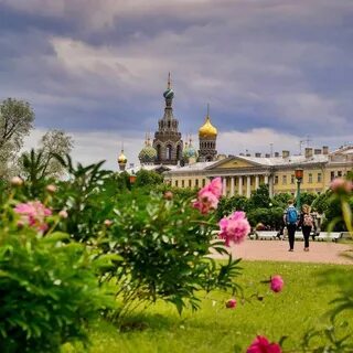 Какой будет июнь в спб