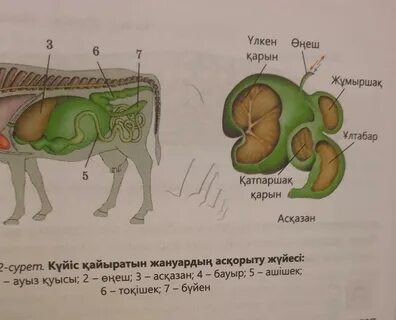 Наталья Рудакованың жалаңаш суреті